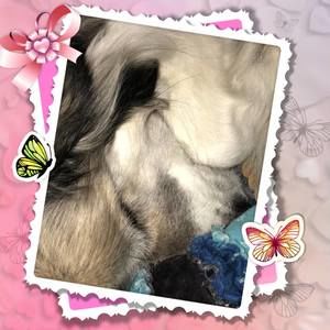 Meet your Posher, Wende